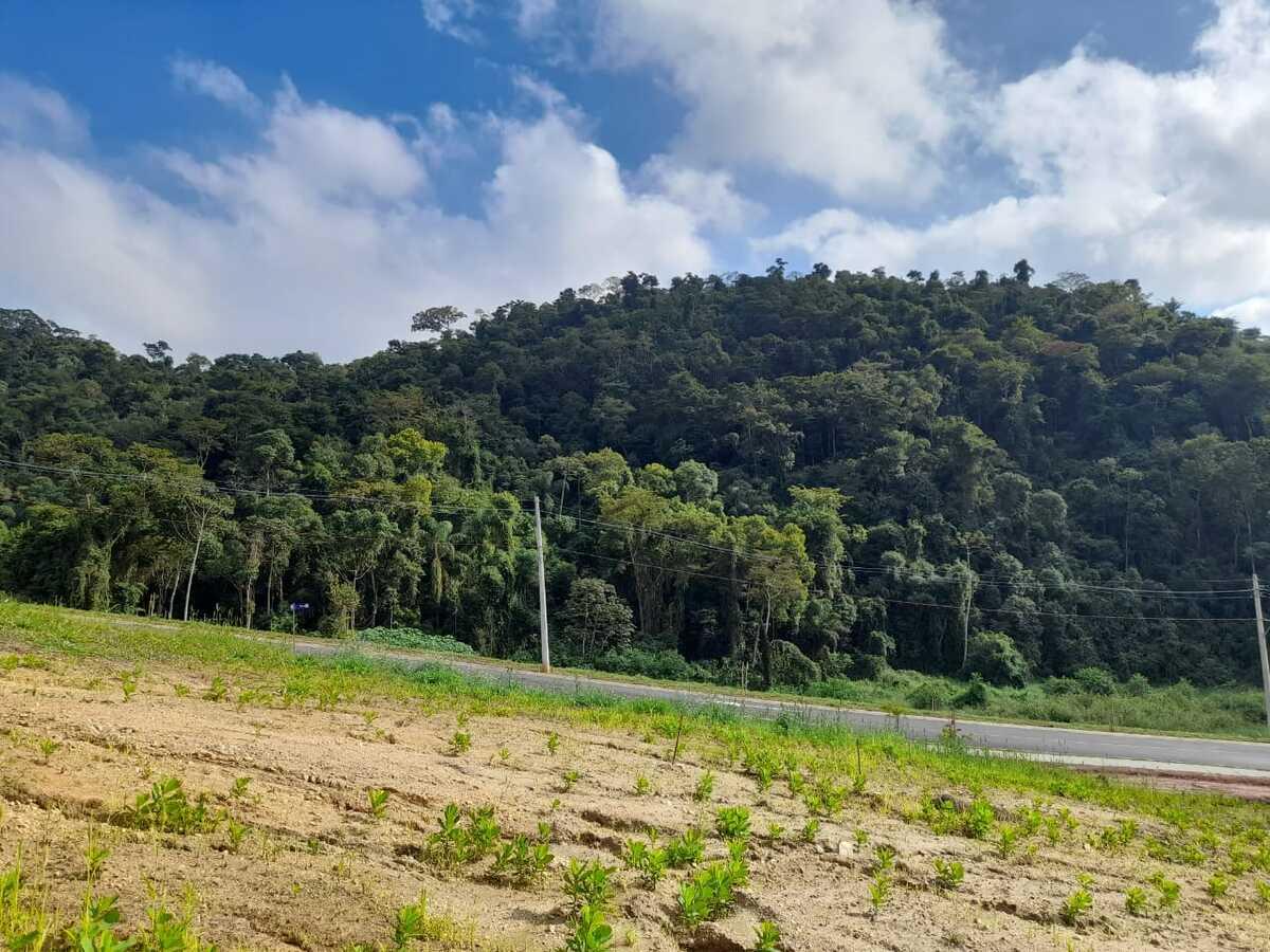 Terreno à venda, 242m² - Foto 6