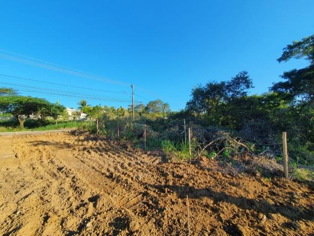 Terreno à venda, 2871m² - Foto 5