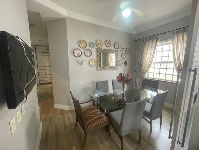 Casa à venda com 4 quartos, 360m² - Foto 17